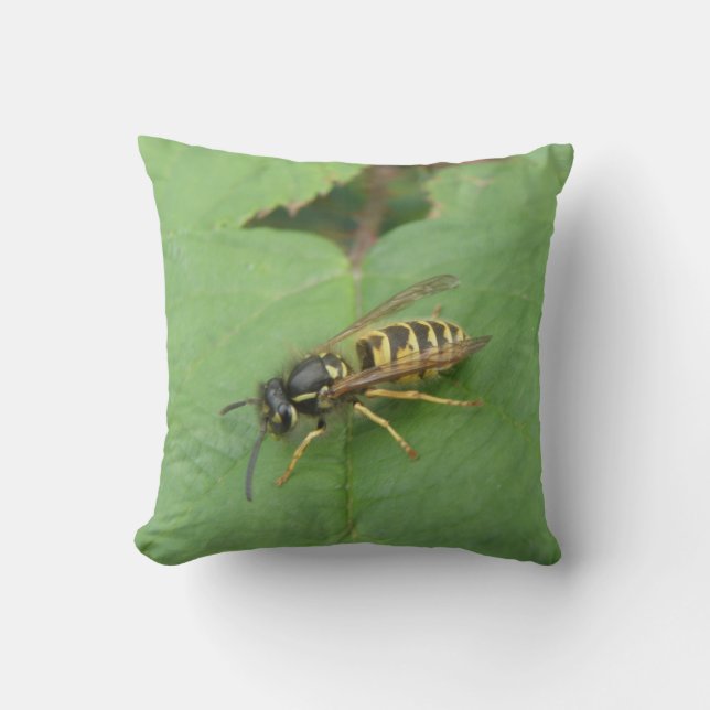 Hoverfly sur un Coussin feuille (Recto)