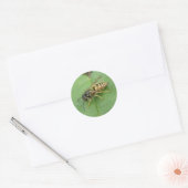 Hoverfly sur un Stickers Feuille (Enveloppe)