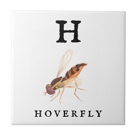 Hoverfly Tegeltje (Voorkant)