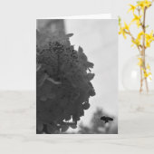 Hovering Honey Bee, carte (Fleur jaune)