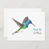 Hovering Jacobin Hummingbird - transparent. Merci (Devant / Derrière)