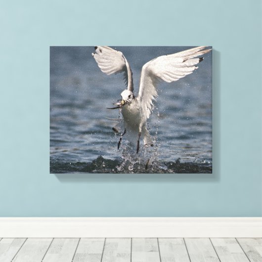 Hovering Kittiwake Canvas Afdruk (Insitu (Houten vloer))