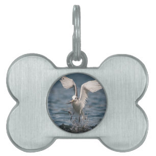 Hovering Kittiwake Huisdieren Naamplaatje