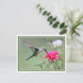 Hovering Lunch Briefkaart (Staand voorkant)