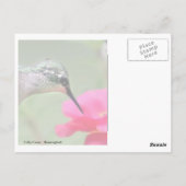 Hovering Lunch Briefkaart (Achterkant)