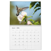 Hovering van levende vogels 2015 kalender (Mar 2026)