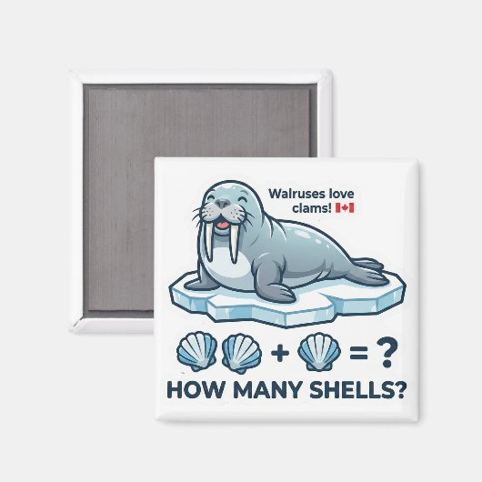 How Many Shells? – Walrus Math Learning Magnet Magneet (Voorkant / Achterkant)