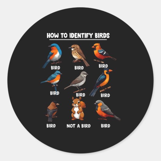 How To Identify Birds Funny Birds Identification B Ronde Sticker (Voorkant)