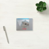 Howdy Hamster Post-it® Notes (Kantoor)