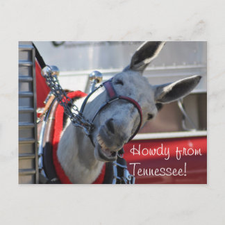 Howdy van Tennessee Mule Briefkaart