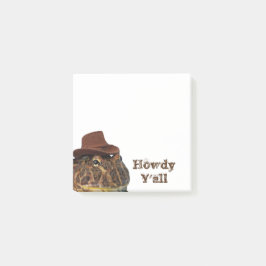 Howdy Y'all Post-it® Notes