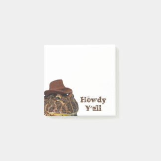 Howdy Y'all Post-it® Notes
