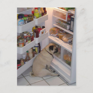 Howie Pee Pugpants Briefkaart