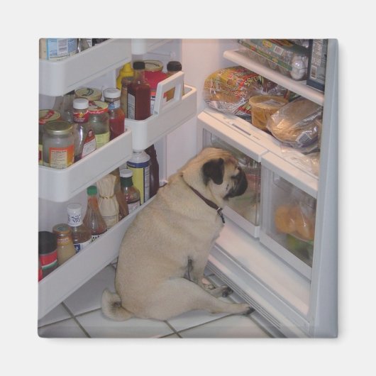 Howie Pee Pugpants Magneet (Voorkant)