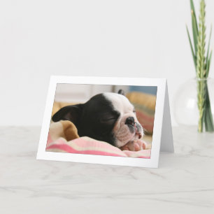 Howie Sleeping Kaart