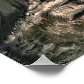 Howl at the Moon Poster (Coin)