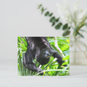 Howler Monkey, Belize Briefkaart (Staand voorkant)