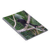 Howler Monkey en Baby Monkey in het Costa Rica-Oer Notitieboek (Rechterzijde)