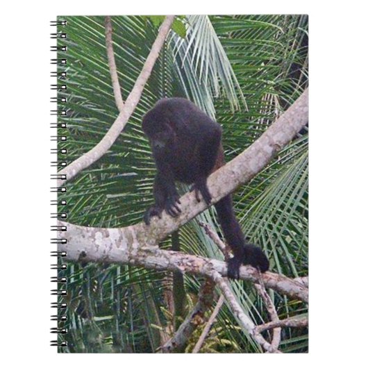 Howler Monkey en Baby Monkey in het Costa Rica-Oer Notitieboek (Voorkant)