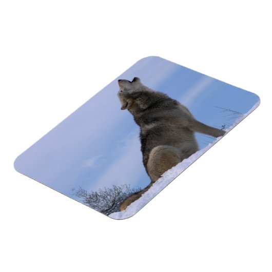Howling Alaskan Timber Wolf Magneet (Linkerzijde)