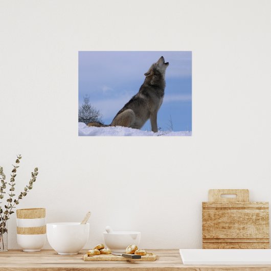 Howling Alaskan Timber Wolf Poster (Keuken)