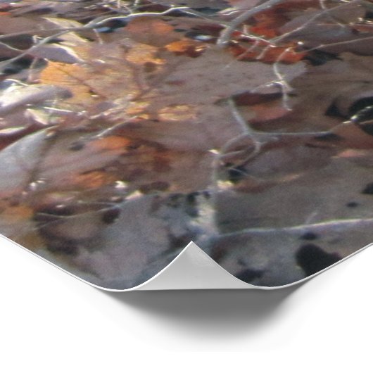 Howling Beagle & Beagle Buddy dans Woods Poster (Coin)