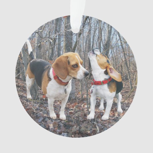 Howling Beagle in Bossen kerstversiering Ornament (voorkant)