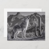 Howling Coyote in Desert Landscape Briefkaart (Voorkant / Achterkant)