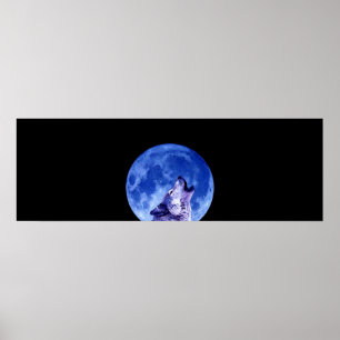 Howling Grey Wolf at Night Door Poster Print