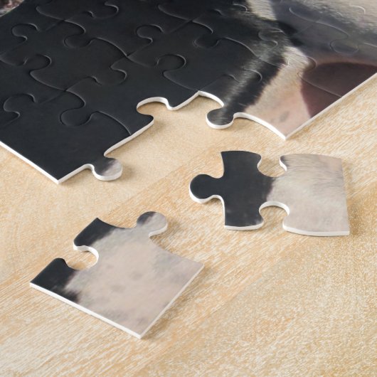 Howling Treeing Walker Coonhounds Legpuzzel (Zijkant)