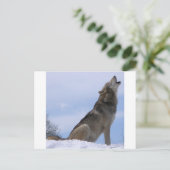 Howling Wolf Briefkaart (Staand voorkant)