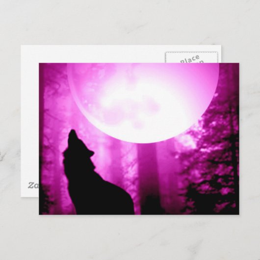 Howling Wolf Briefkaart (Voorkant / Achterkant)