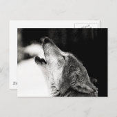 Howling Wolf Briefkaart (Voorkant / Achterkant)