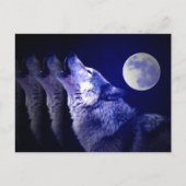 Howling Wolf Briefkaart (Voorkant)