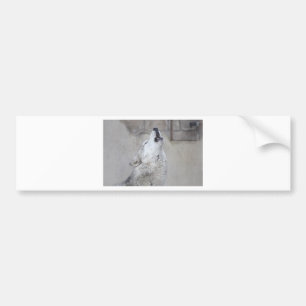 Howling Wolf Bumpersticker