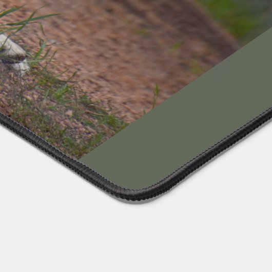 Howling Wolf Desk Mat (Coin)