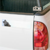 Howling Wolf in sneeuw Bumpersticker (Op Truck)