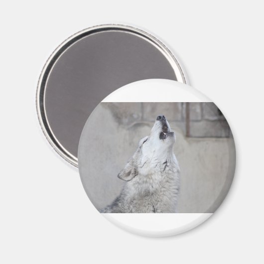 Howling Wolf Magneet (Voorkant / Achterkant)
