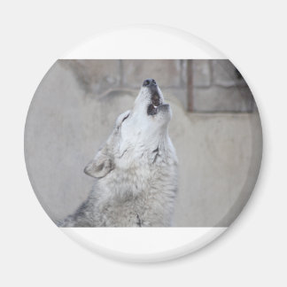 Howling Wolf Magneet