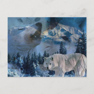 Howling Wolf Pack Briefkaart