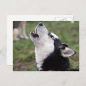 howly briefkaart (Voorkant / Achterkant)