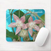 Hoya aff. imperialis MousePad Muismat (Met muis)