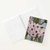 Hoya Fleurs Plantes Carnet Floral (Intérieur)