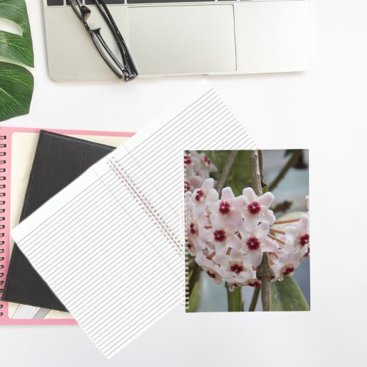 Hoya Fleurs Plantes Carnet Floral