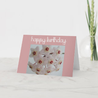 Hoya Flower Birthday Kaart