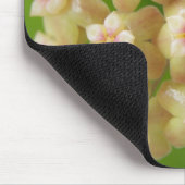 Hoya samoensis Mousepad Muismat (Hoek)