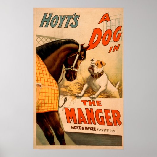 Hoyt is een hond in het Manger Theater Poster (Voorkant)