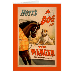 Hoyt is een hond in het Manger Theater Poster