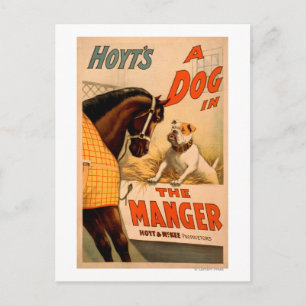Hoyt is een hond in het Manger Theater Poster Feestdagenkaart