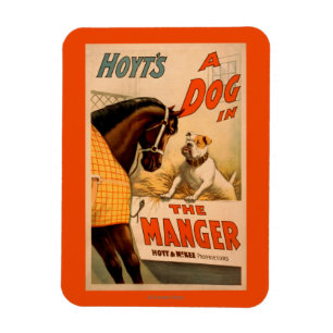 Hoyt is een hond in het Manger Theater Poster Magneet
